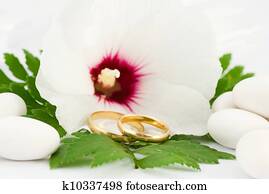 wedding rings wedding rings