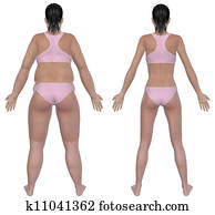 Weight Loss Before And After Rear View Weight Loss Before And After Rear View