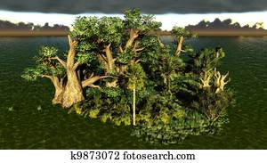 Stock Photo of USA, Florida, Lake Istokpoga with cypress trees
