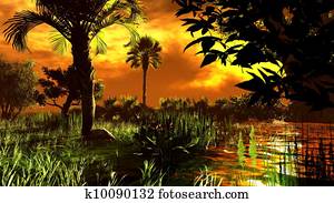 Wetland - swamp Wetland - swamp