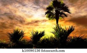Wetland - swamp Wetland - swamp