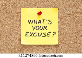What is Your Excuse