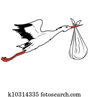 White Stork in flight delivering a newborn .