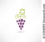 Wine Grape Wine Grape