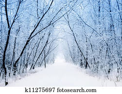 winterbilder winterbilder
