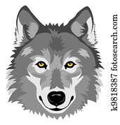 Wolf Wolf