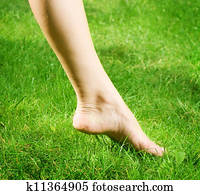 Woman's bare feet in green grass