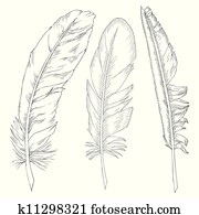writing feathers writing feathers