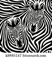 zebra, קשר