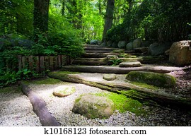 Zen Steps Zen Steps