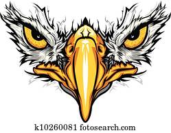 águia, olhos, e, bico, vetorial, ilustração