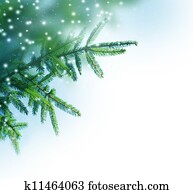 árvore natal, borda