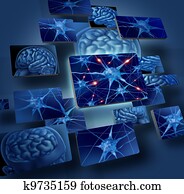 εγκέφαλοs, neurons, αντίληψη