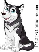 אלסקאי מאלאמאט