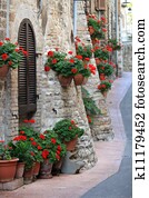 גרניון, פרחים, ב, רחובות, של, assisi,, umbria,, איטליה