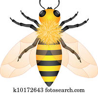 דבורה של דבש