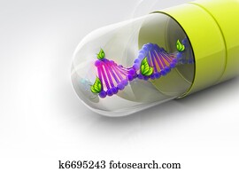 די.אנ.אי, ב, גלולה