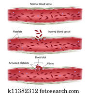 דם, clotting, process,, eps8