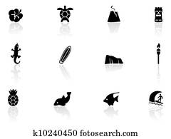 הוואי, איקונים