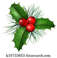 חג המולד, צינית