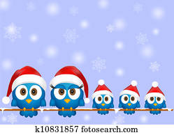 חמוד, חג המולד, צפרים