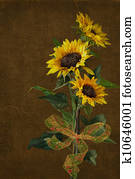 חמנית, ריח, עם, כרע