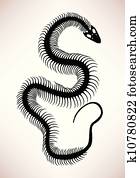 נחש, עצם, שלד