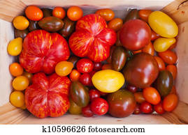 נכס, עגבניה, cultivars