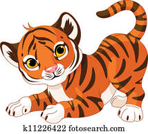 עליז, גור של נמר