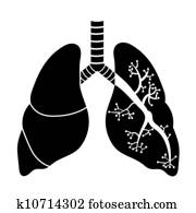ריאות, ב, לבן שחור