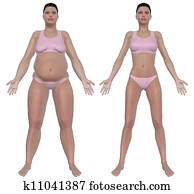 שקלל הפסד, לפני ואחרי, השקפה של חזית