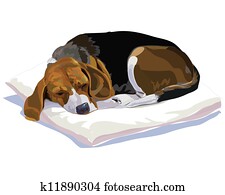 ビーグル犬 イラストギャラリー 354 ビーグル犬 アート Fotosearch