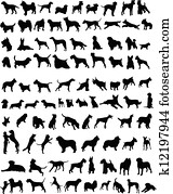 100 dogs 100 dogs