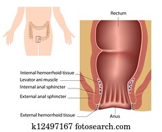 a, anal, canal, eps10