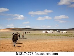 A camel caravan across the desert leaving the Gers of farmers to the distance