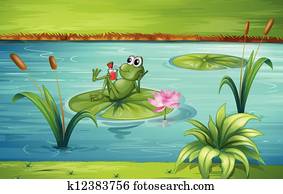 A frog A frog