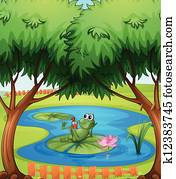 a, frosch a, frosch