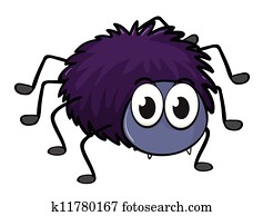 a spider a spider