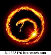 Abstract spiral snake Abstract spiral snake