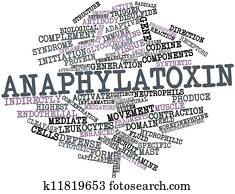 anaphylatoxin