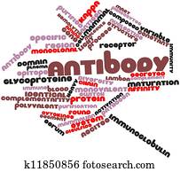 Antibody