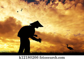 Asian rice farmer Asian rice farmer