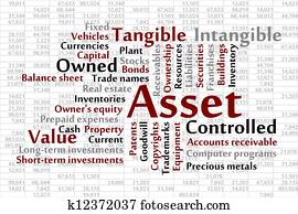 Asset