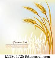 Background with wheat Background with wheat