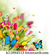 Beautiful spring flowers with butterflies Beautiful spring flowers with butterflies
