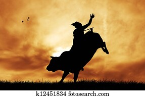 Bull rider Bull rider