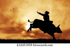 Bull rider Bull rider