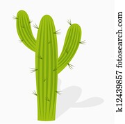 cacto, ilustração