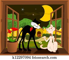 cats cats