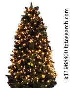 Christmas tree Christmas tree